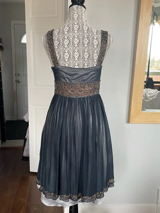 Gorgeous Adrianna Papell 100% Silk Cooper and Onyx Beaded Party Dress. Size 8. - Picture 6 of 10